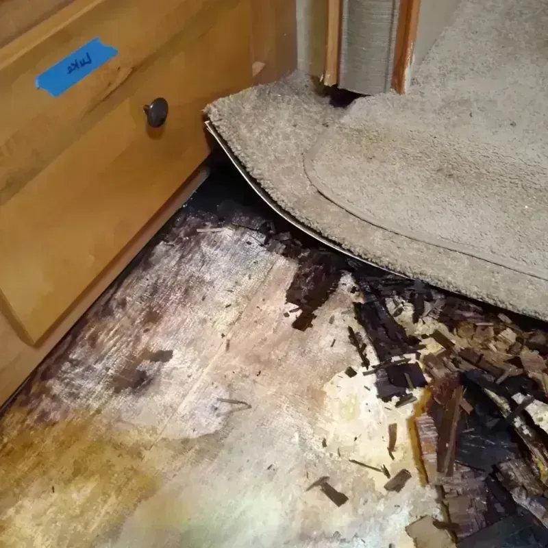 Wood Floor Water Damage in Champion Heights, OH